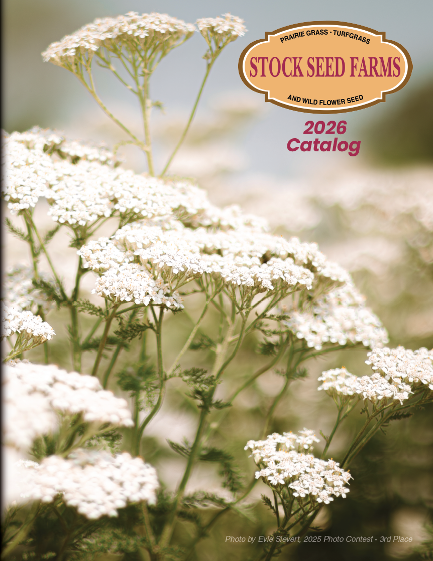 Stock Seed Catalog Cover