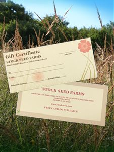  - Gift Certificate