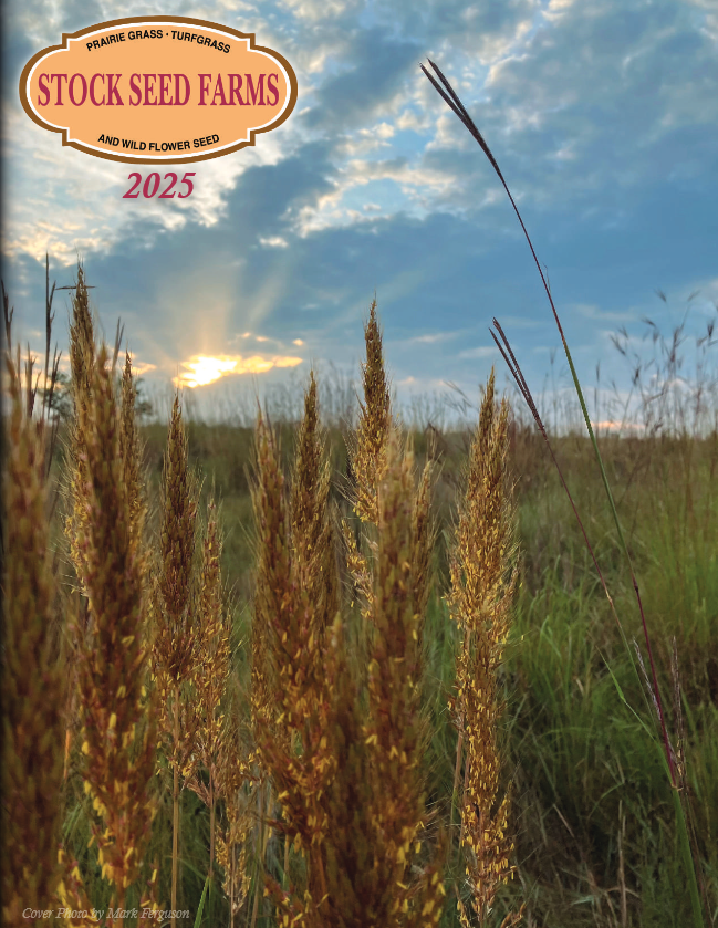 Stock Seed Catalog Cover